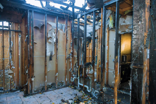 Professional Fire Damage Removal technician working in Lake Ketchum, WA